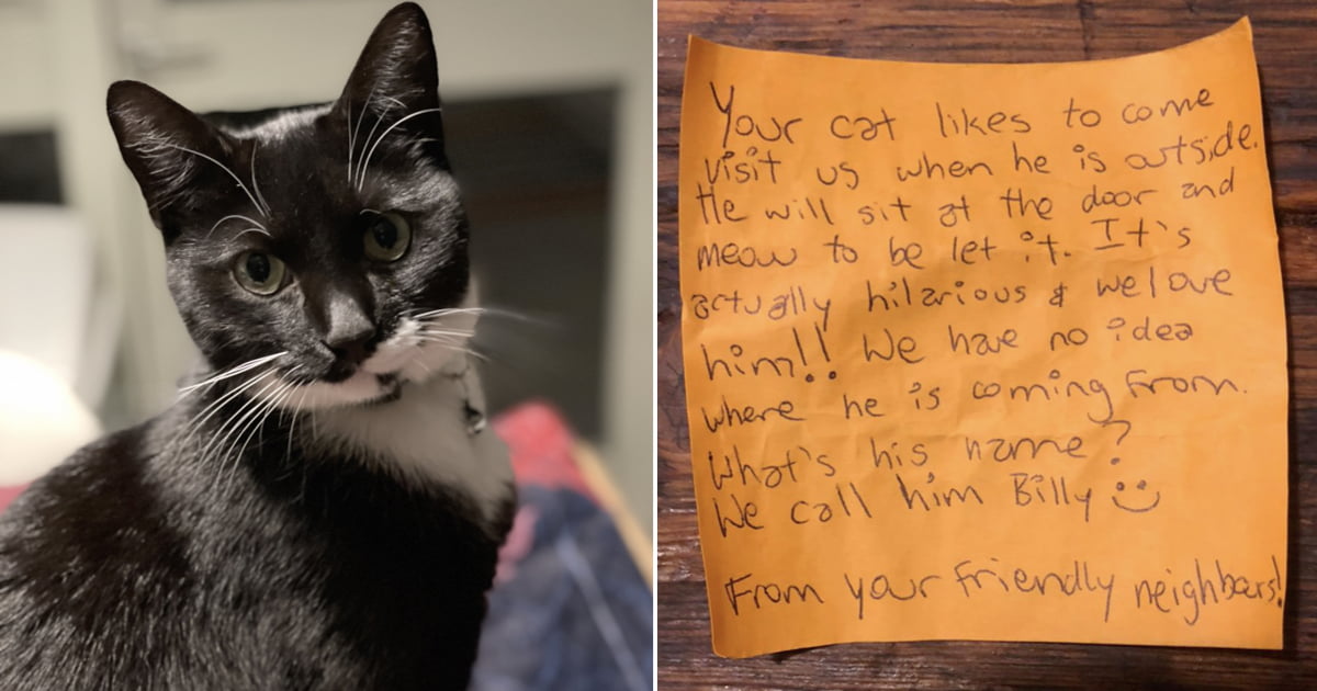 Cat Comes Home With A Note On His Collar And It Starts The Sweetest
