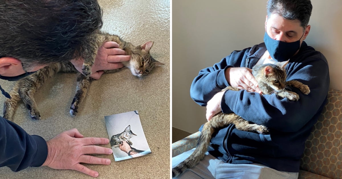 Man Reunited With Cat That Went Missing For 15 Years - 9GAG