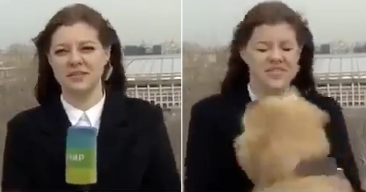 Dog Ends Weather Report When He Runs Away With Reporter’s Microphone - 9GAG