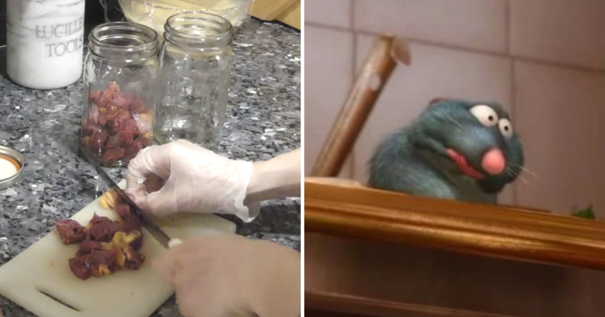 Some People Are Eating Raw, Rotten Meat To Get High - 9GAG