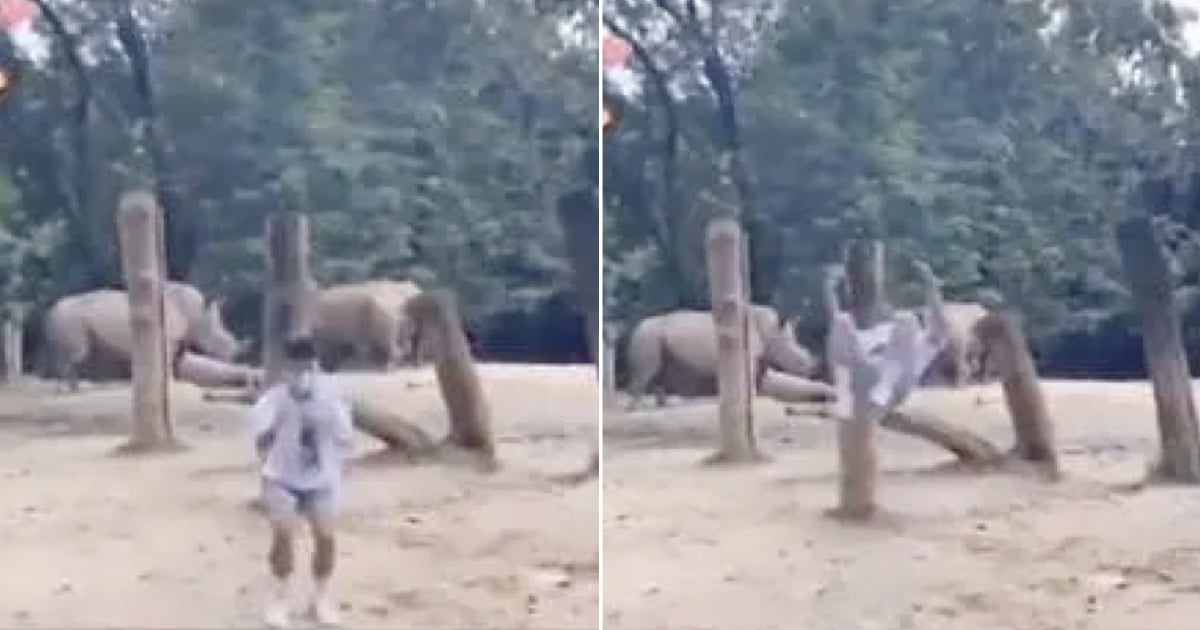 Backflipping Teen To Be Charged With Trespass Into Rhino Enclosure 9gag 7883