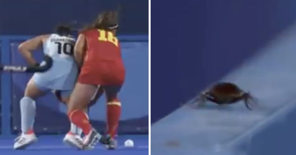 Cameraman Focuses On Cockroach In Tokyo Olympics Live Broadcast - 9GAG