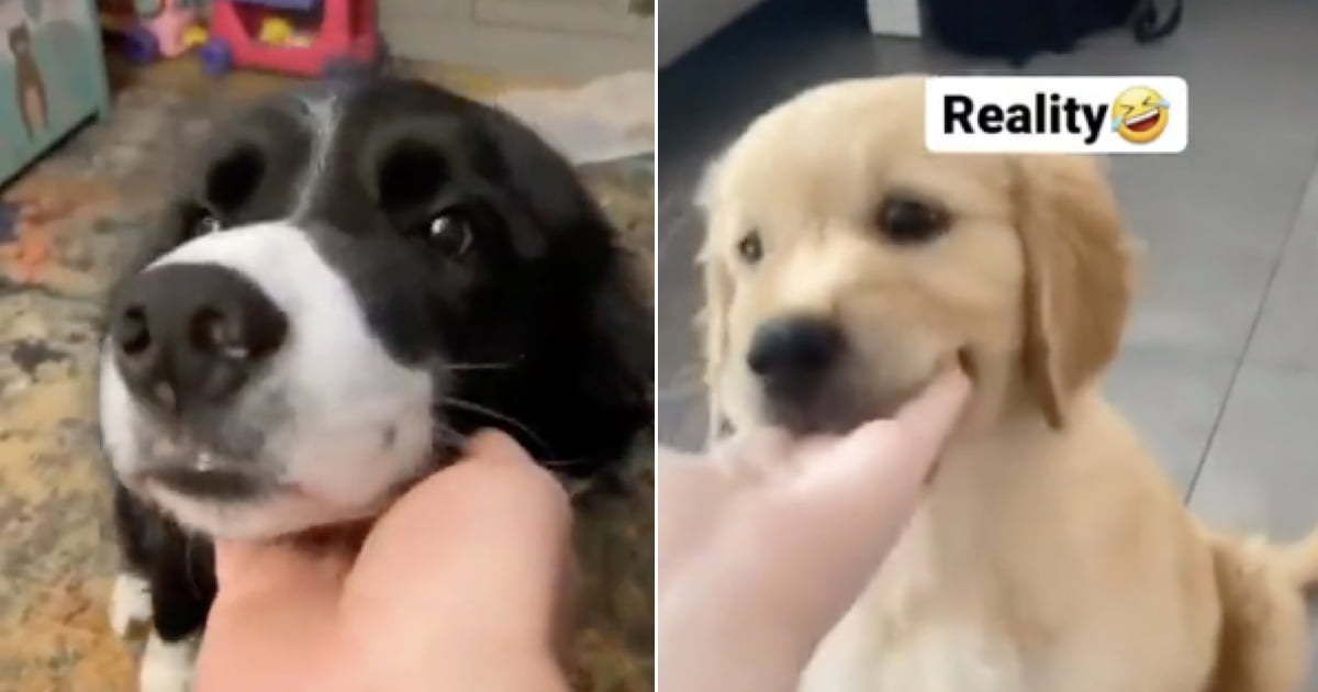 Expectation vs Reality 9GAG