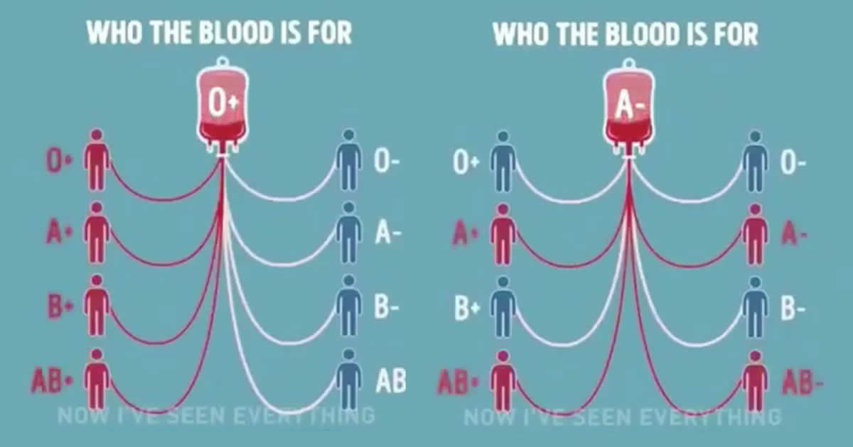 In case you ever wondered. Now go and spend some blood! - 9GAG