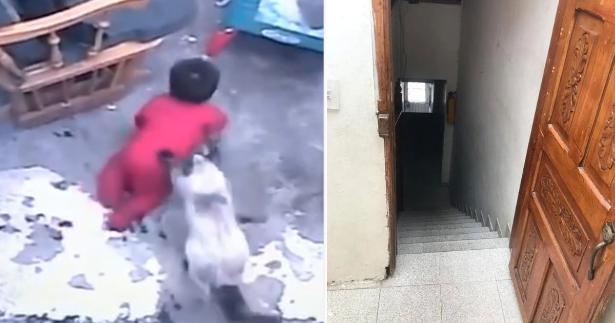 Good cat saves baby from falling down the stairs 9GAG