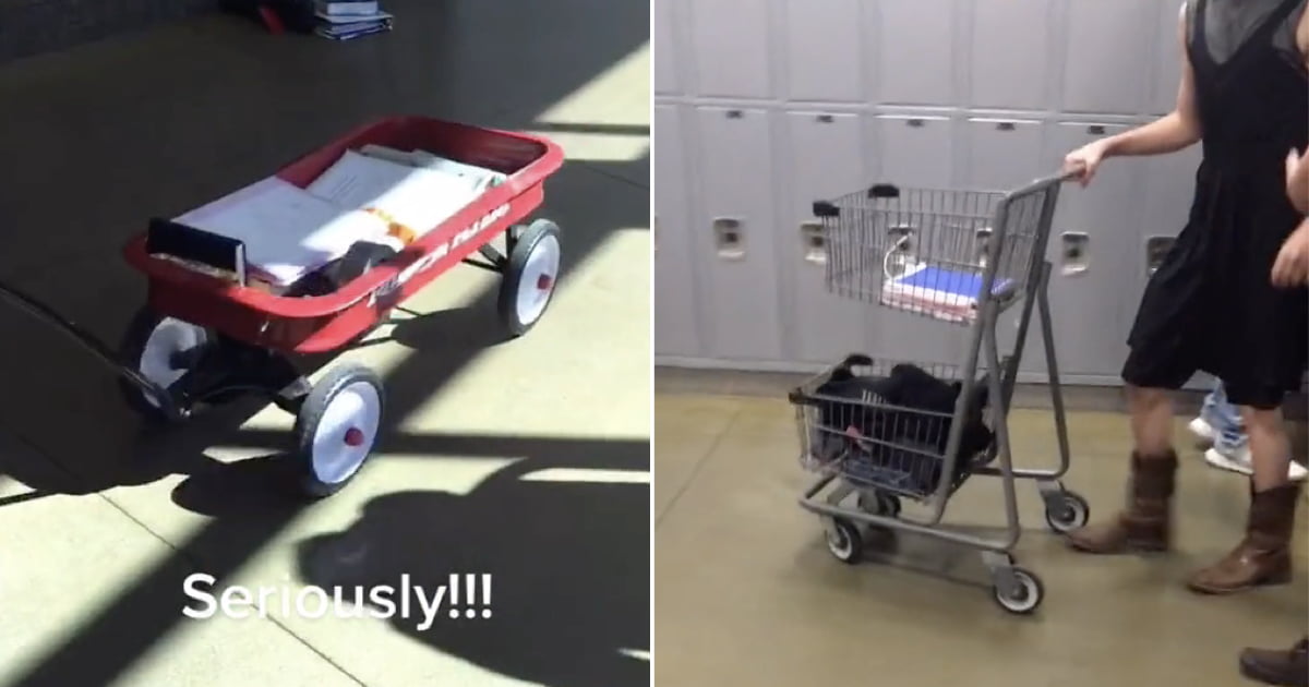 School Bans Backpacks Tiktok at Avilla blog