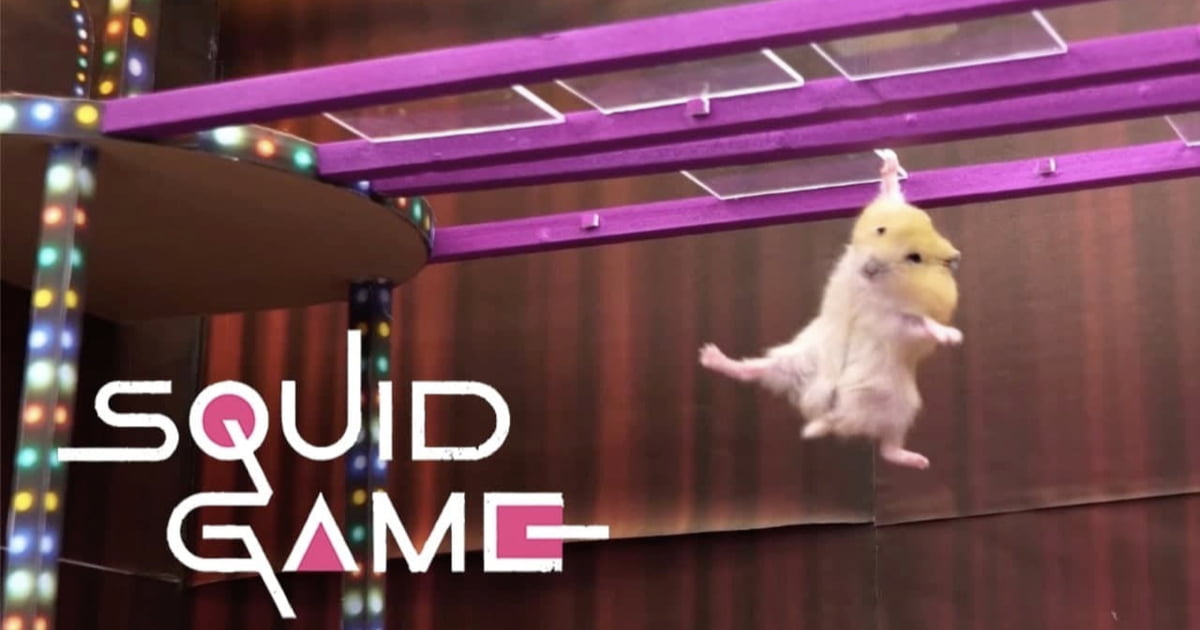 Squid Game But With Adorable Hamsters - 9GAG