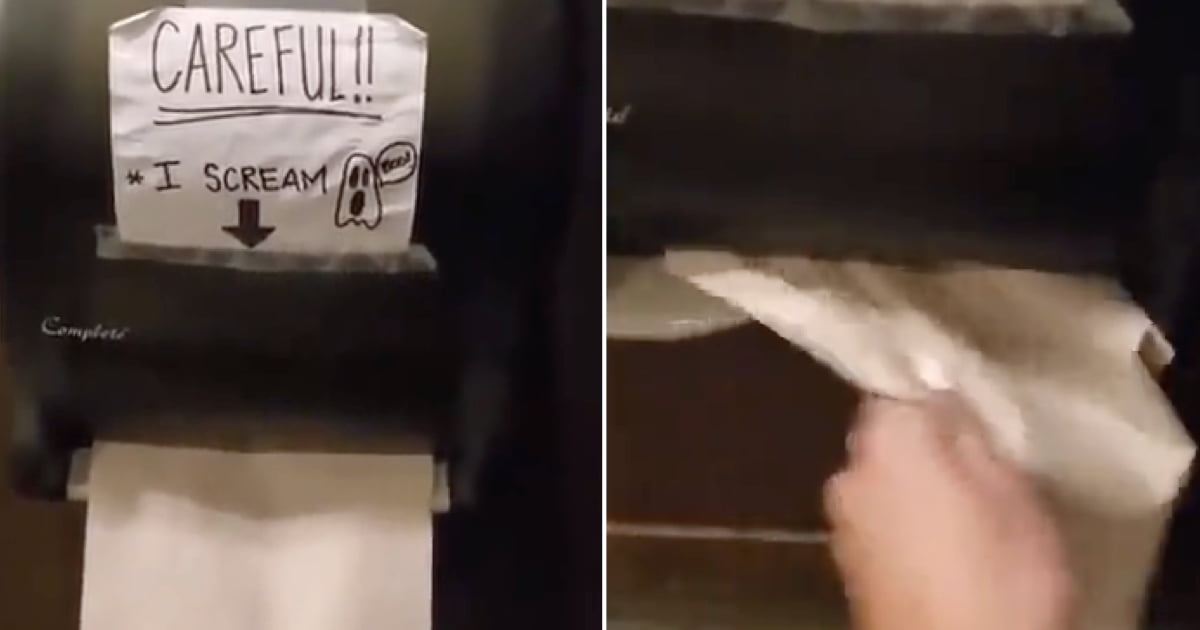 Screaming paper towel dispenser 9GAG