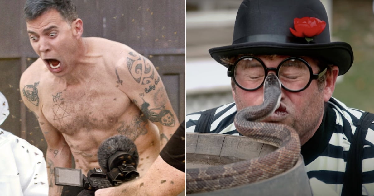 Peta Call For Criminal Investigation Into Treatment Of Animals In 