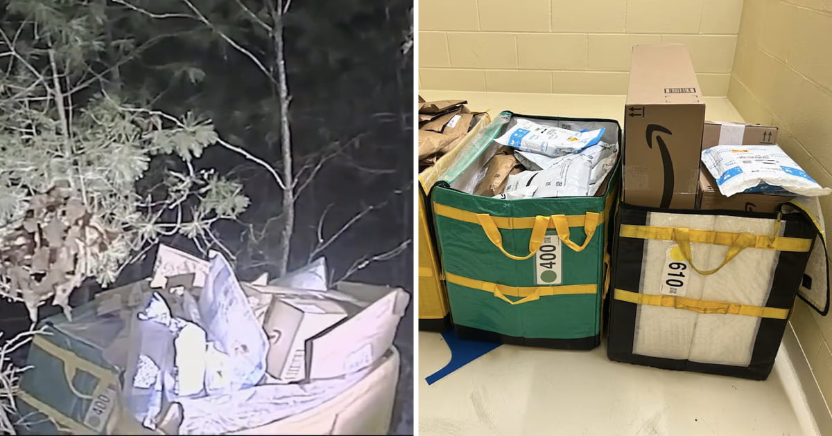 'Stressed' Amazon Driver Abandons 80 Packages In Woods During Holiday ...