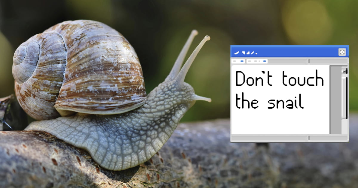 ‘Don’t Touch The Snail’ A Desktop Game That Can Only Be Played Once - 9GAG
