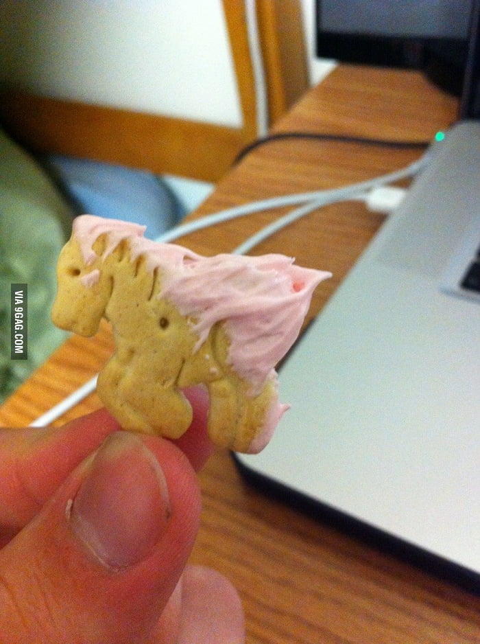 I dip my animal crackers in some frosting, a wild Rapidash appeared. 9GAG