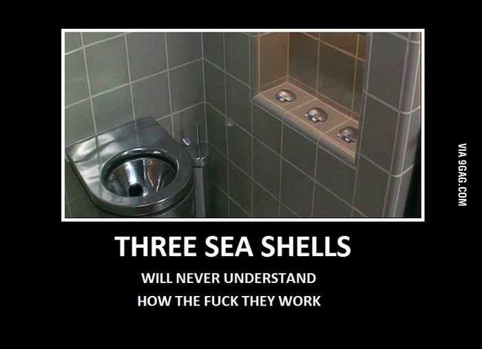 Three sea shells - 9GAG