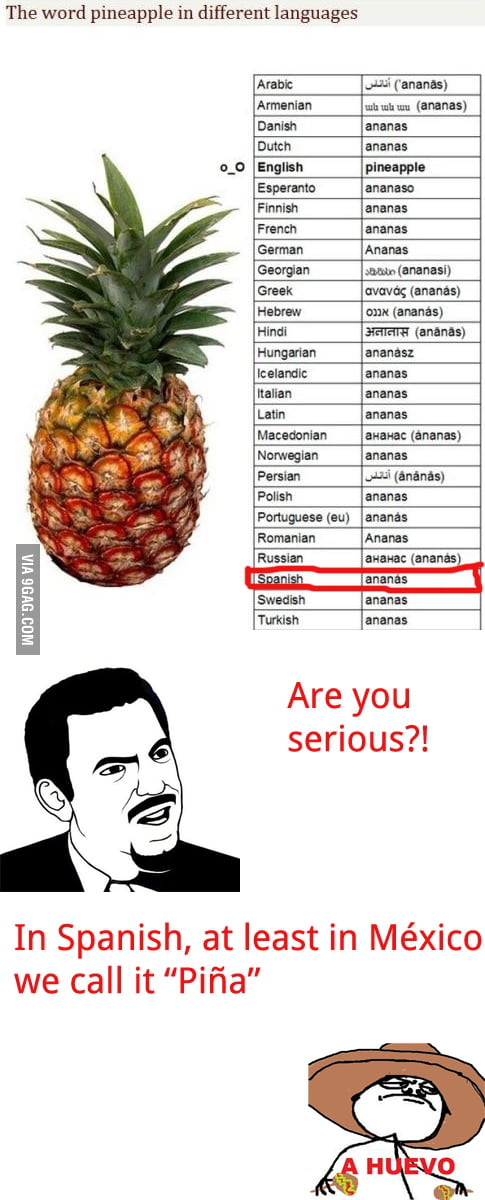 pineapple-in-different-languages-fixed-9gag