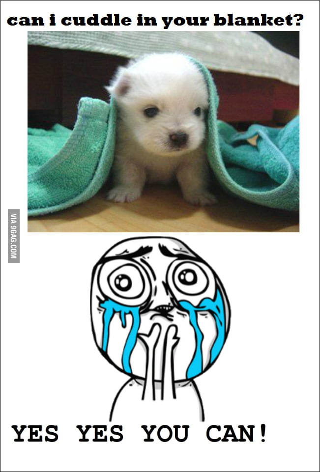 So So So Cute ! - 9GAG