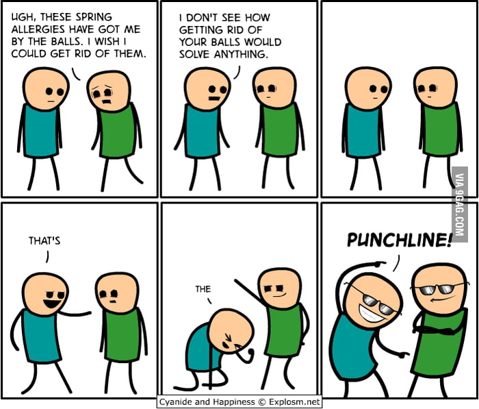 That's the PUNCHLINE! - 9GAG