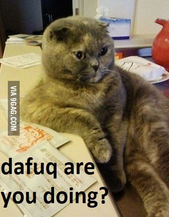 What are y.....dafuq? - 9GAG