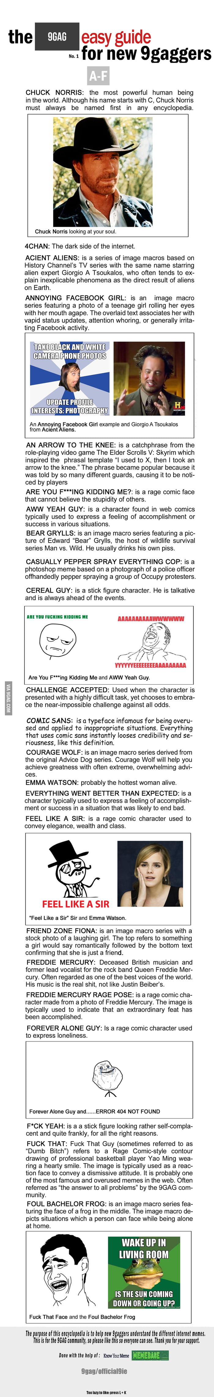 Finally, A Guide For New 9Gaggers To Understand The Memes Finally, A Guide For New 9Gaggers To Understand The Memes