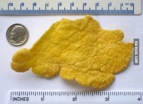 World's biggest cornflake. - 9GAG