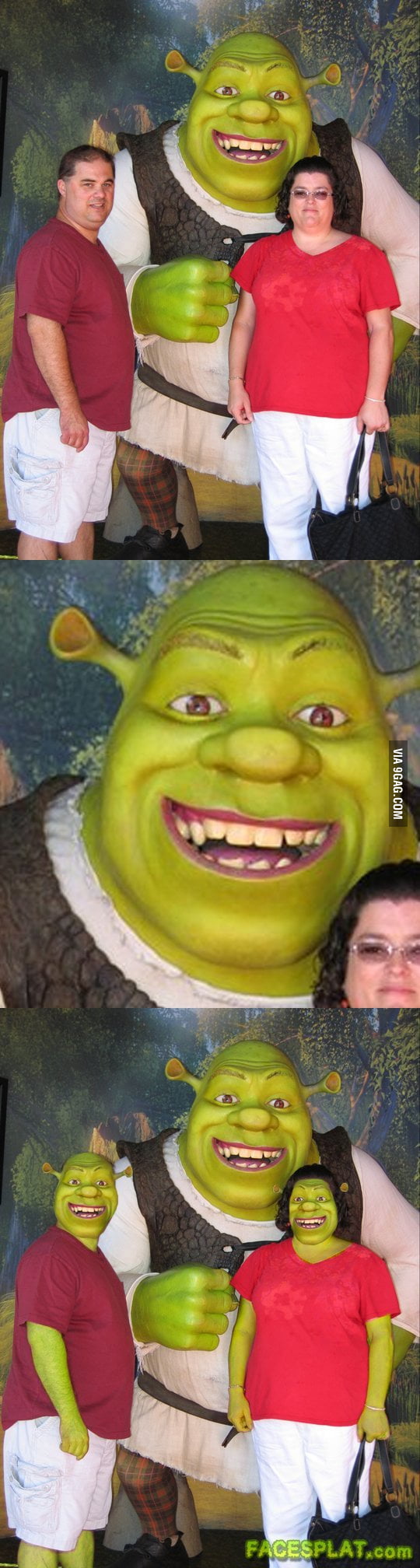 Shrek Face Swap - 9GAG