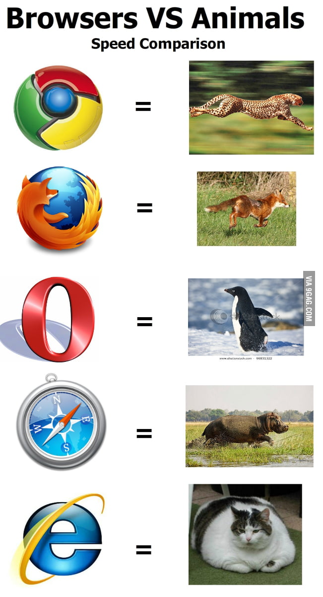 Browsers VS Animals - 9GAG