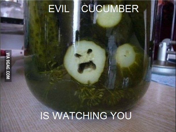 Cucumbers Know What You Do 9gag