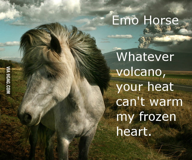Emo Horse Girl