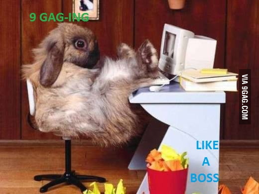 Just another day at the office - 9GAG