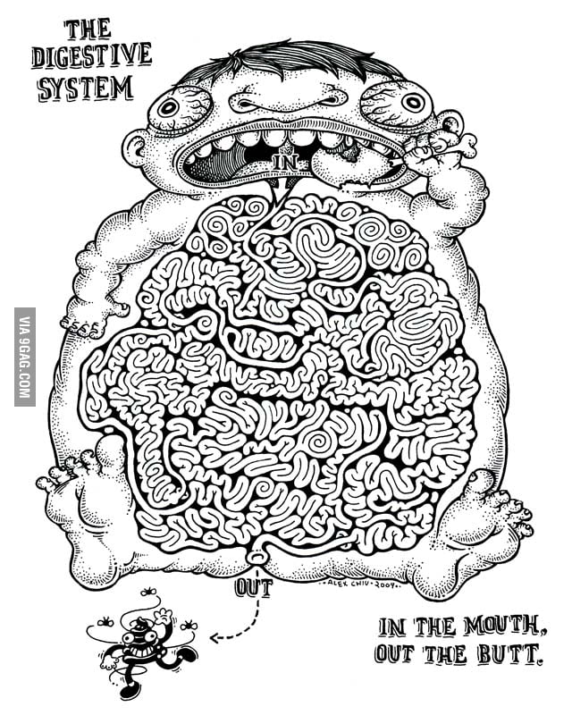 The Digestive System Maze - 9GAG