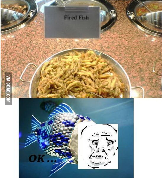 Poor Fish ... - 9GAG