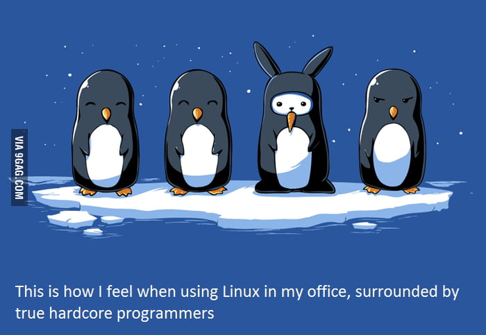 Web-developers will get it - 9GAG
