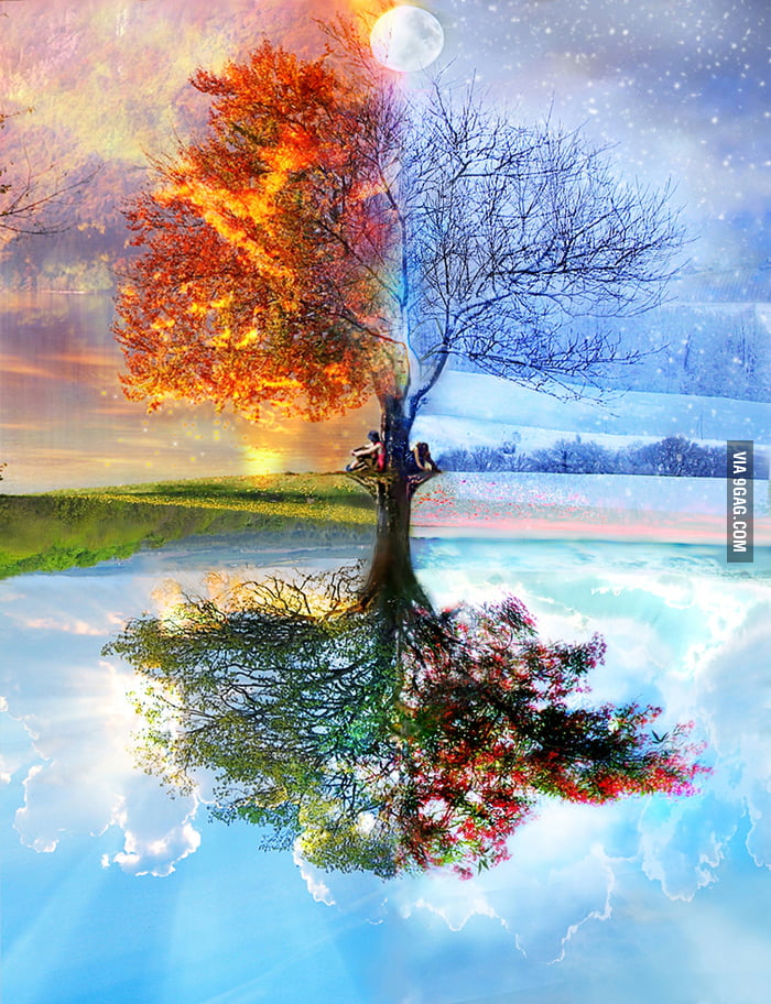 Four Seasons 9GAG