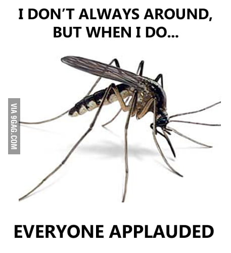 Famous mosquito - 9GAG