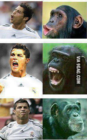 ronaldo chilling filmin' the monkey #fyp #fypシ #foryou #memes