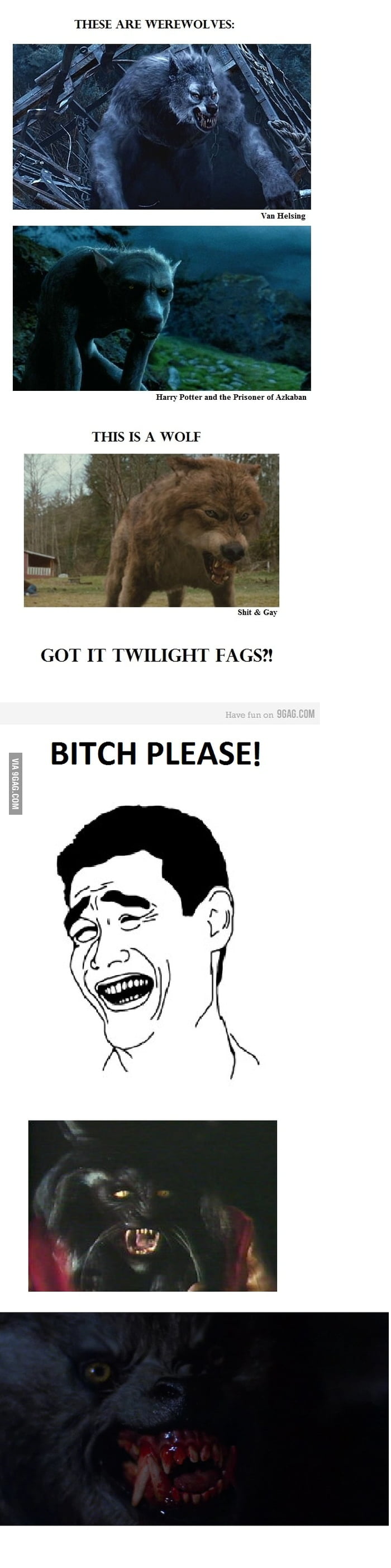 Not a werewolf [Fixed] - 9GAG
