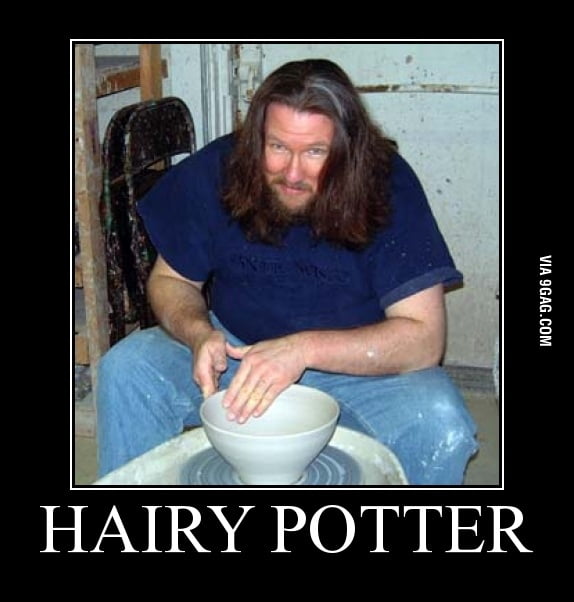 Hairy Potter GAG