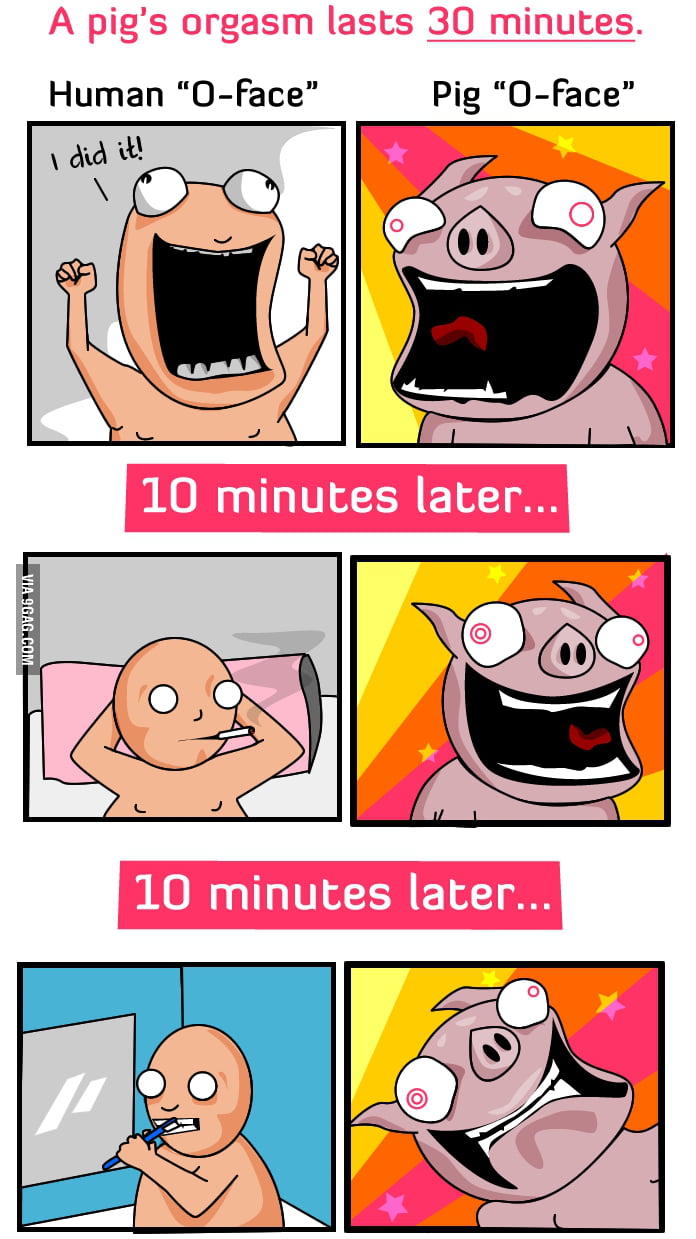 Pig Orgasms 9GAG