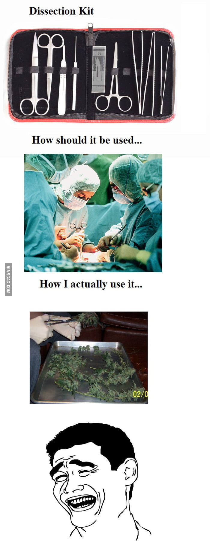 Medicine Students Understand... - 9GAG