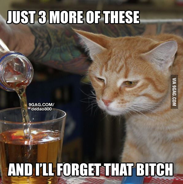 Sad Cat Is Sad And Drinking 9gag