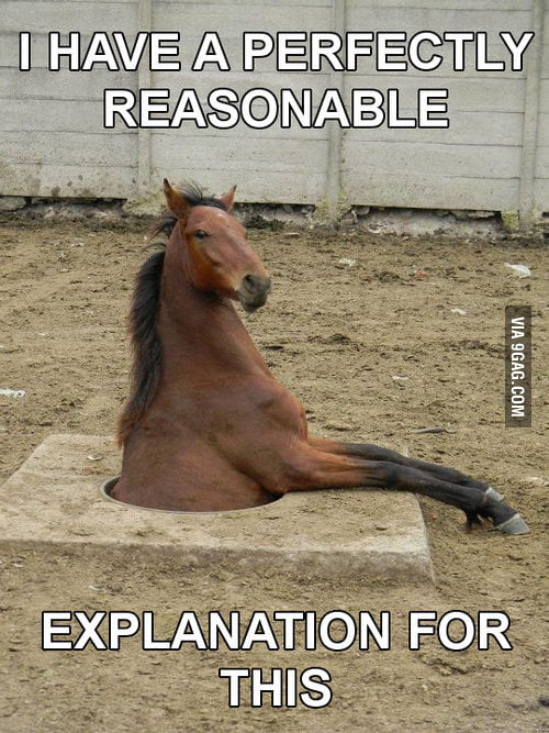 My Horse likes you 9GAG