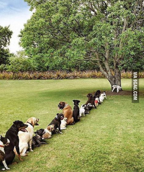 Bathroom Queue bathroom queue - 9gag Bathroom Queue bathroom queue - 9gag