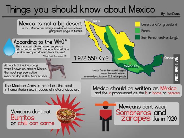 Just Some Mexican Facts GAG