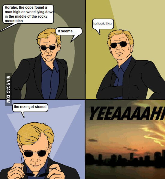 just-another-horatio-caine-one-liner-9gag