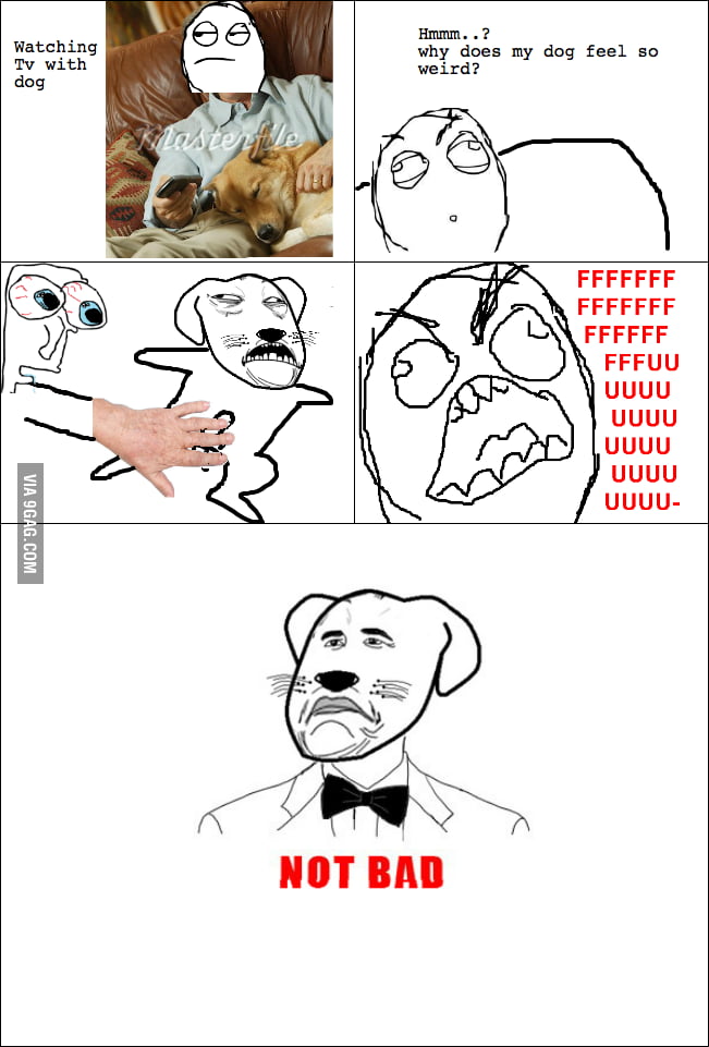 Sneaky little dog - 9GAG