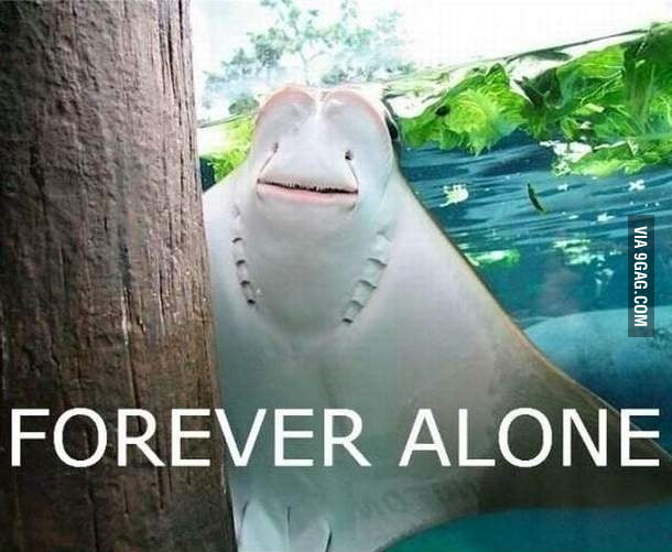 Forever alone - 9GAG