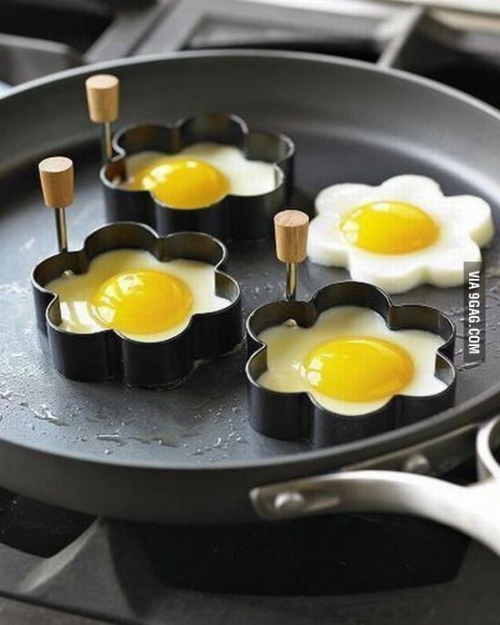 Cute eggs - 9GAG