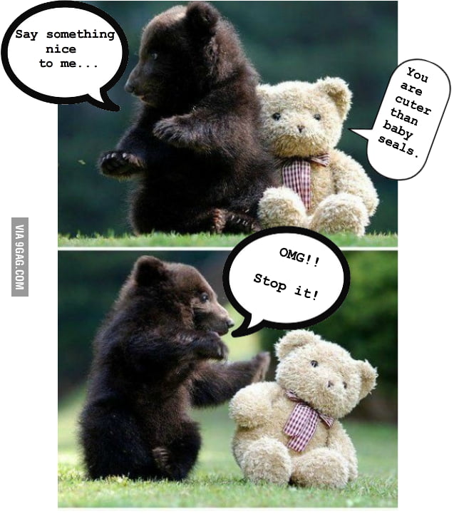 Flirting With My Bear like Boyfriend Flirting Bears - 9GAG