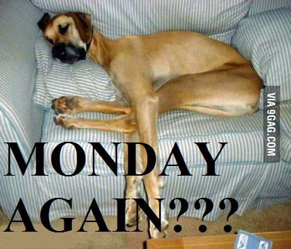 F**ck Monday - 9gag