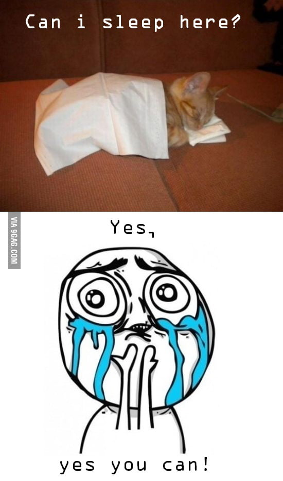 can-i-sleep-here-9gag