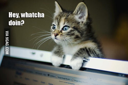 hey-whatcha-doin-9gag